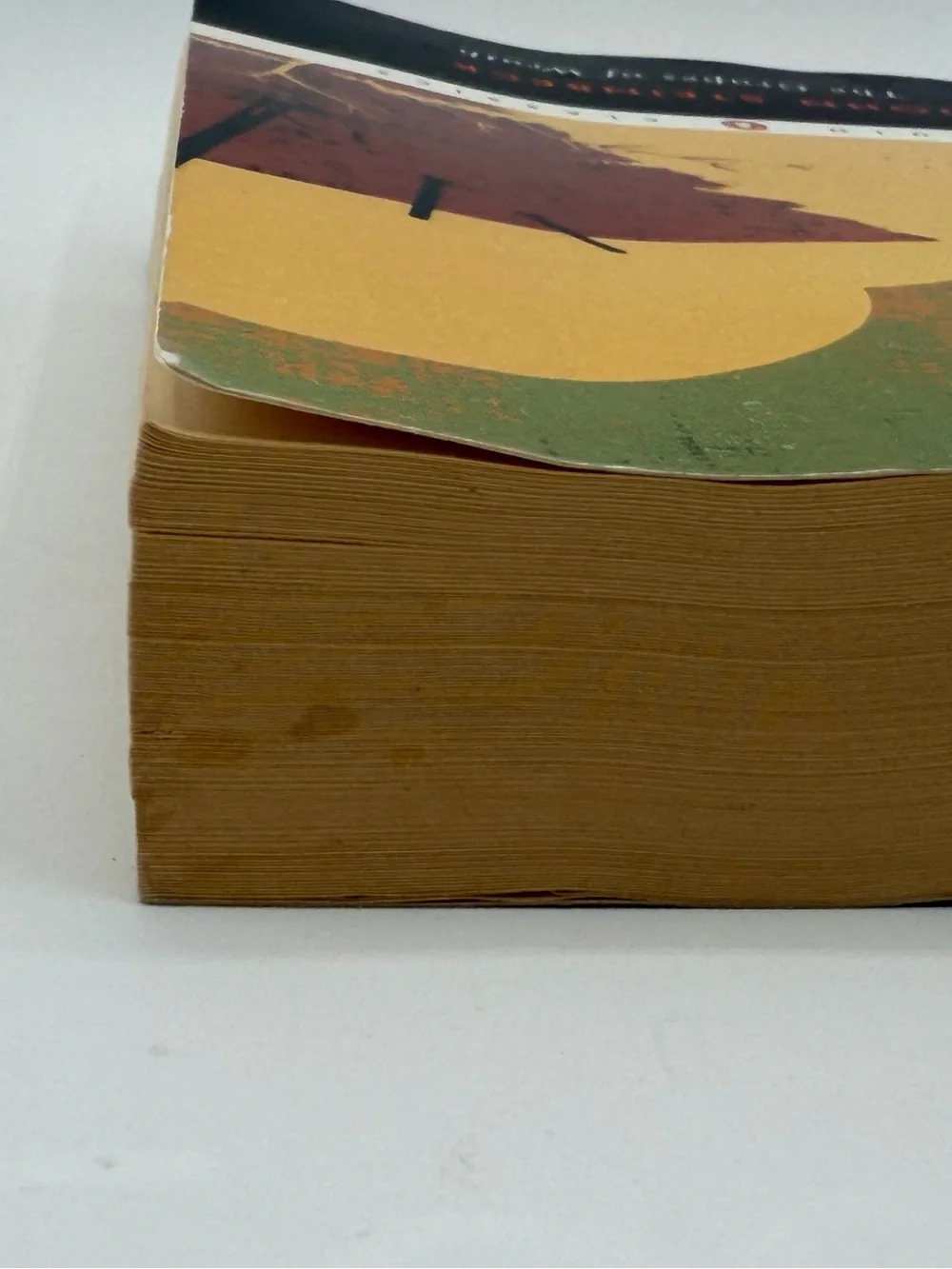 The Grapes of Wrath by John Steinbeck (Paperback Book, 2006)